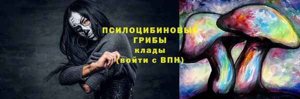 скорость Богородск