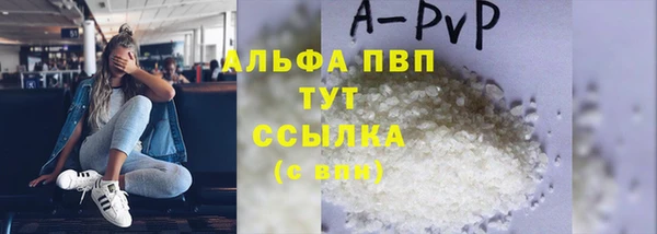 стаф Богданович