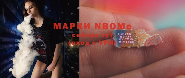стаф Богданович