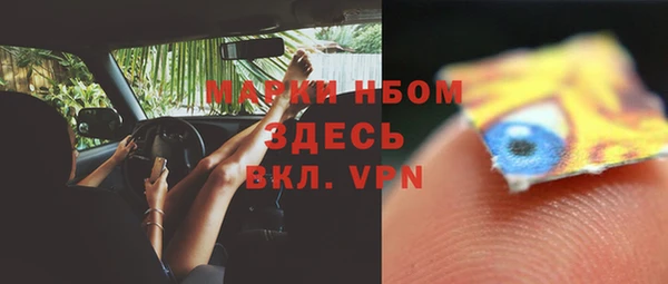 стаф Богданович