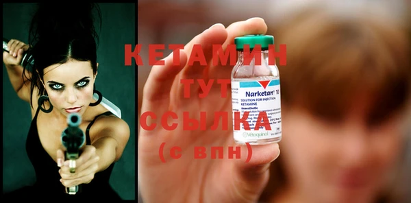 стаф Богданович