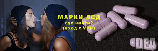 стаф Богданович