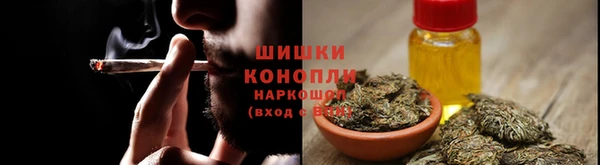 ПСИЛОЦИБИНОВЫЕ ГРИБЫ Богородицк
