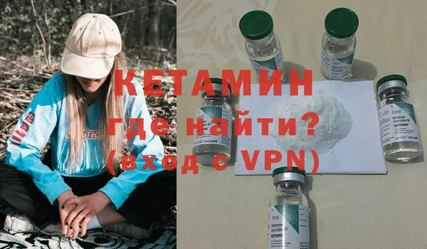 стаф Богданович