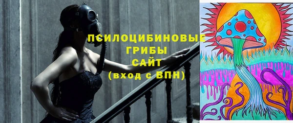 ПСИЛОЦИБИНОВЫЕ ГРИБЫ Богородицк