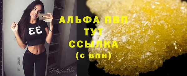 ПСИЛОЦИБИНОВЫЕ ГРИБЫ Богородицк