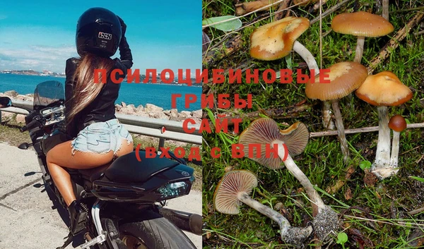 ПСИЛОЦИБИНОВЫЕ ГРИБЫ Богородицк