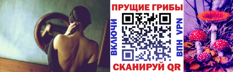 Псилоцибиновые грибы MAGIC MUSHROOMS  продажа наркотиков  Верхняя Пышма 